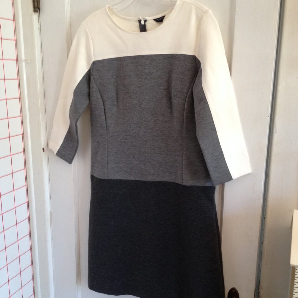 Ann Taylor Office wear dress Sze  Machine Washable